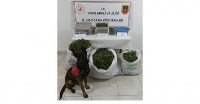 22 kilogram uyuşturucu yakalandı